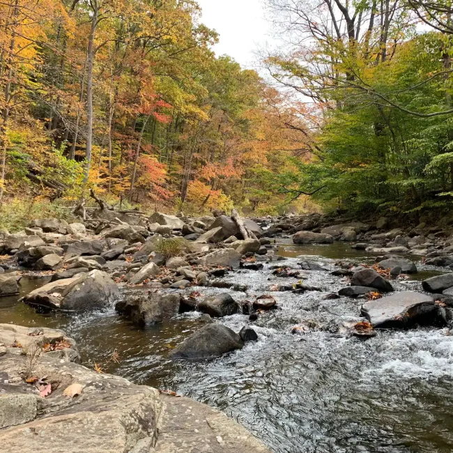Abrams Rapids